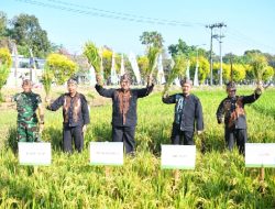 Jabar Tuan Rumah Gebyar Perbenihan Tanaman Pangan